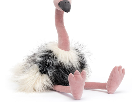 Ramonda Ostrich on Sale