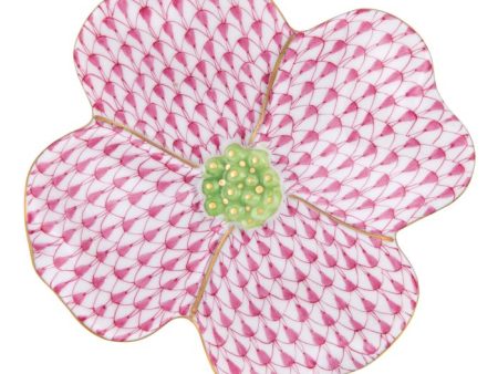 Dogwood Flower-Raspberry Online now