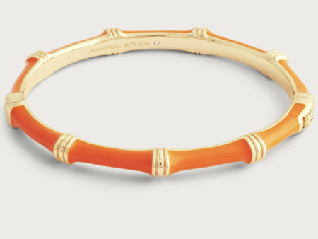 Bamboo Enameled Hinged Bangle-Clementine Online