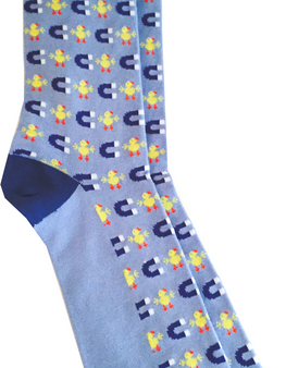 Chick Magnet Socks Online Sale