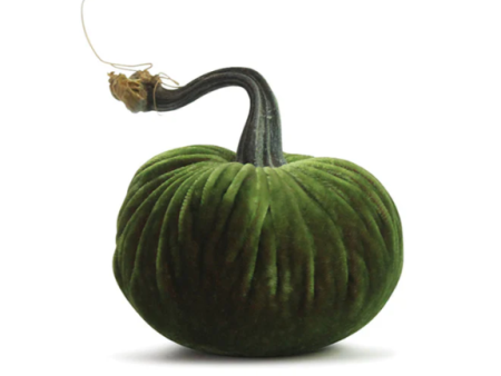 Watermelon Pumpkin Online