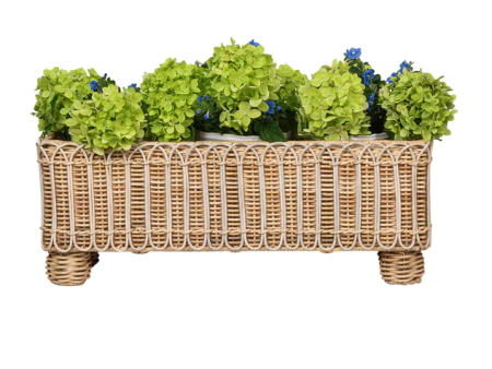 Provence Rattan 20  Rectangle Planter Sale