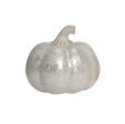 6  Medium Capiz Pumpkin (White) Sale