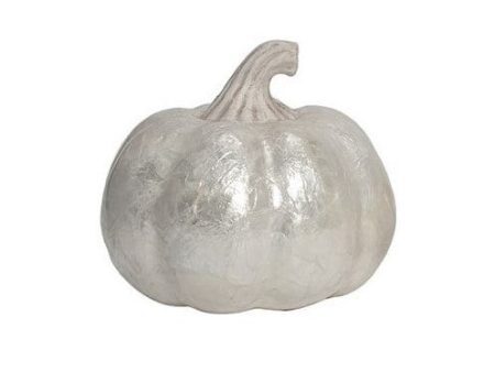 6  Medium Capiz Pumpkin (White) Sale