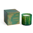 Woodland Spruce Candle on Sale