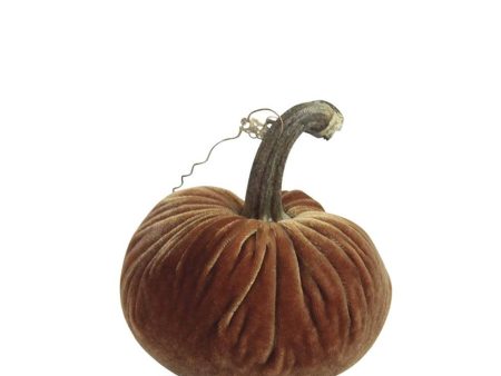 Spice Pumpkin Online Sale