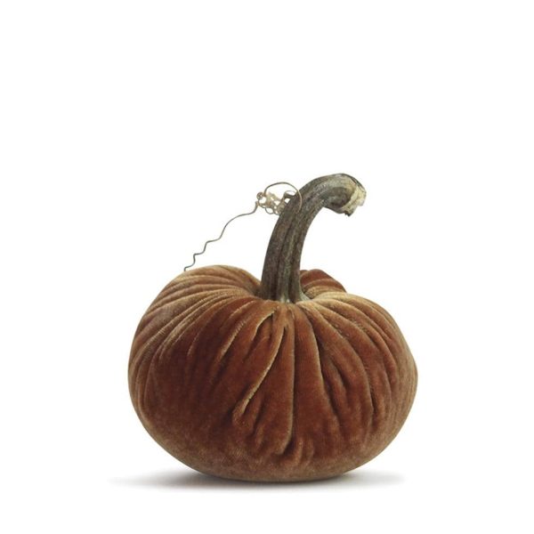 Spice Pumpkin Online Sale