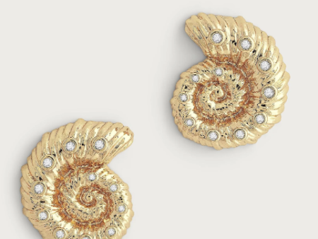 Shell Stud Earrings For Sale