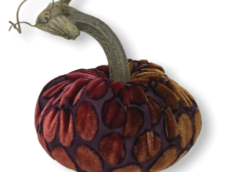 Wild Berry Dot Pumpkin on Sale