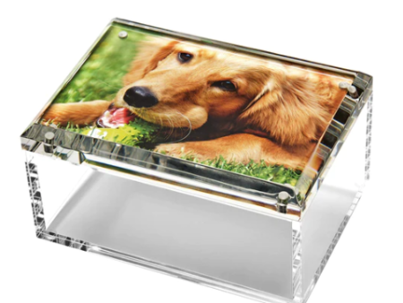 Medium Photo Box - Clear Hot on Sale