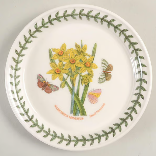 Botanic Garden Bread & Butter Plate - Narcissus Minimus For Cheap