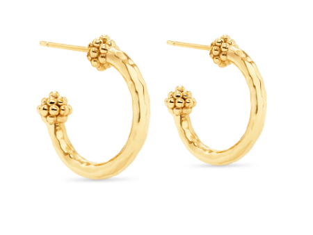 Berry Small Hoop Earrings - Gold Fashion