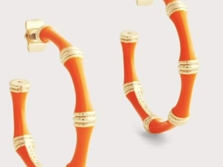 Bamboo Enameled Hoop Earrings-Clementine Online now