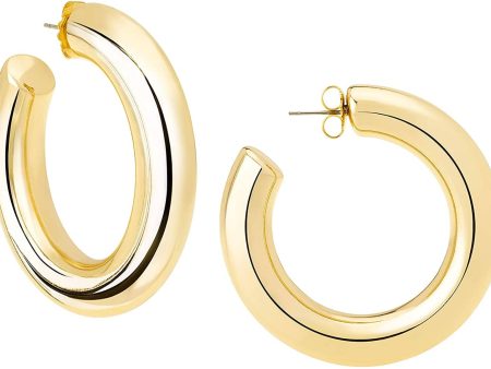 Oprah s Favorite Large Hoop Earrings Cheap