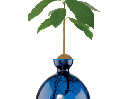 Avocado Vase Lapis Blue For Discount