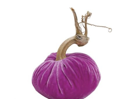 Pink Lilac Pumpkin For Discount