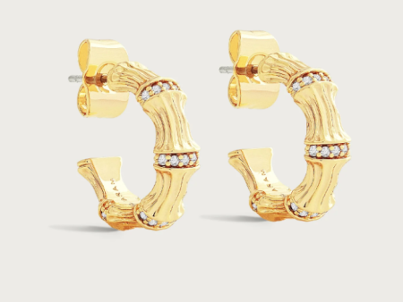 Bamboo Huggie Hoop Earrings Online Hot Sale